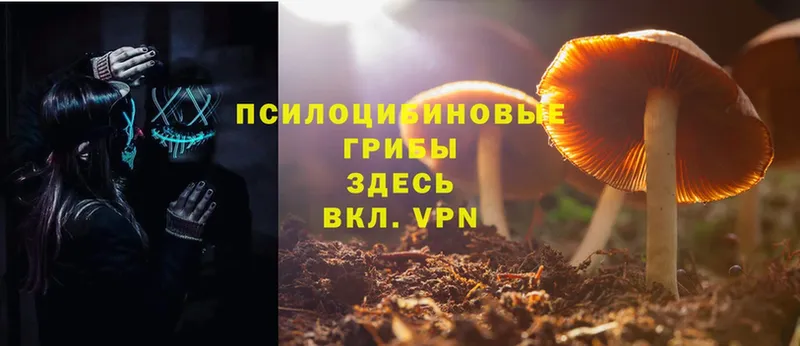 Псилоцибиновые грибы Magic Shrooms  сколько стоит  Хабаровск 